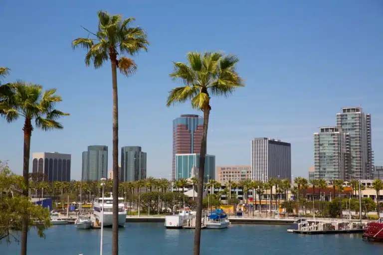 Long Beach skyline featuring modern high-rise buildings, palm trees, and yachts docked in a calm marina with clear reflections on the water under a cloudy sky.