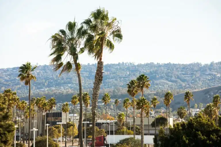 Torrance