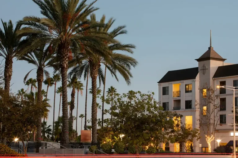 Building Carson’s strongest brands through bold and innovative digital marketing.