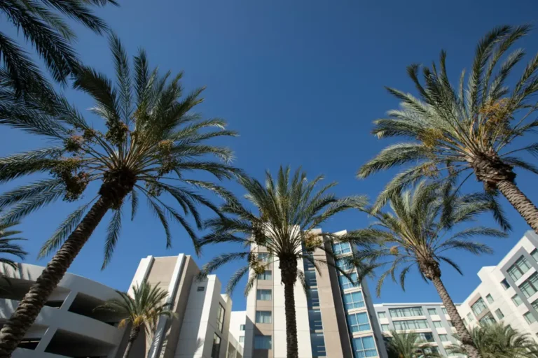 Digital marketing team showcasing growth of Southern California brands.