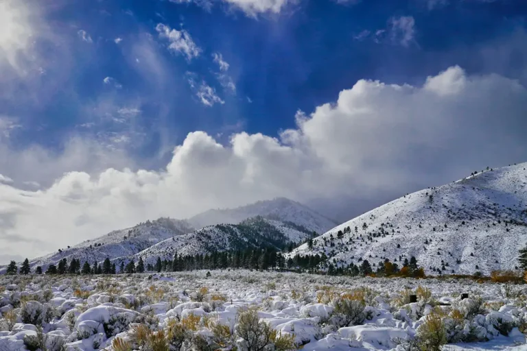 Empowering Carson’s business community to reach new heights and expand globally.