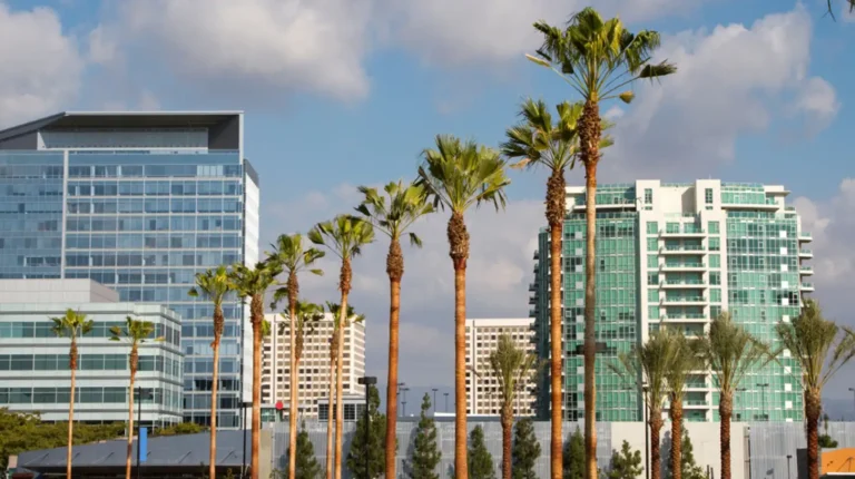 Business growth through expert digital marketing in Irvine