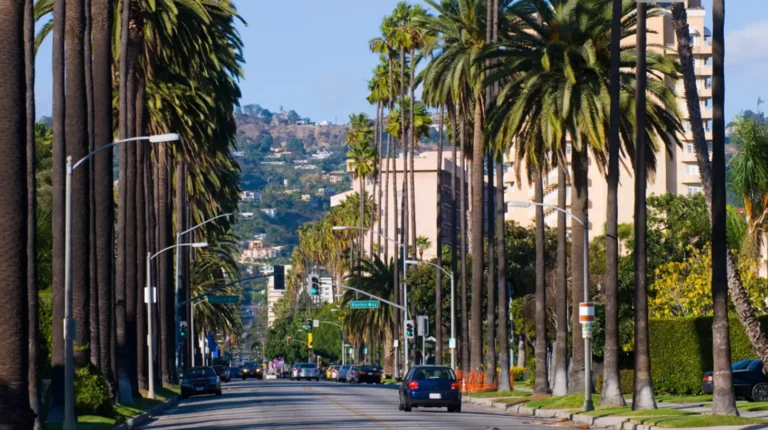 Luxury brand marketing strategy inspired by Beverly Hills with Tower 25