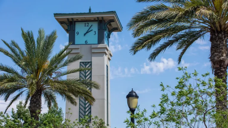 Professional digital marketing services for Ontario businesses in competitive markets