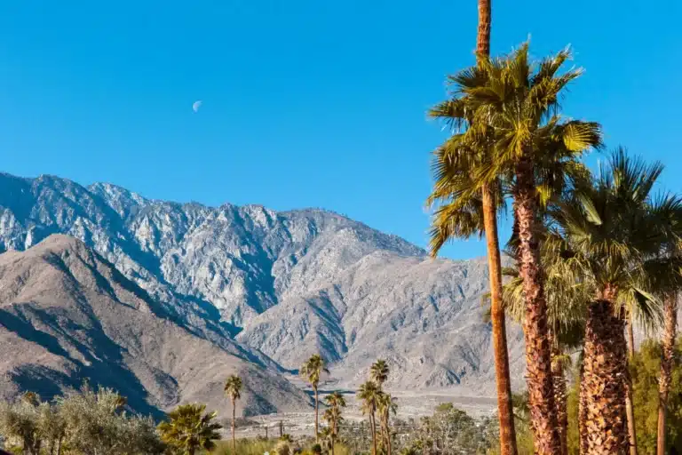 Flat desert mountains with layered silhouettes and palm trees