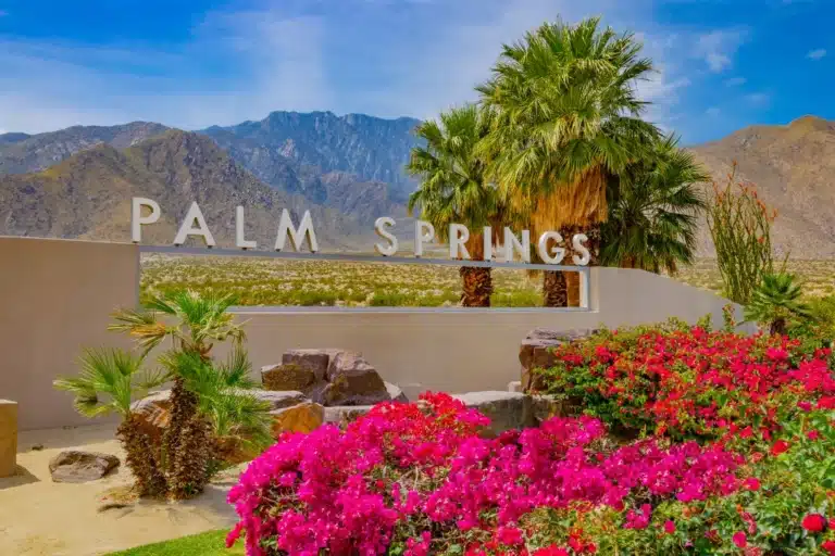 Palm Springs entrance sign surrounded by palm trees, desert landscaping, bright pink flowers, and mountain backdrop under a blue sky.
