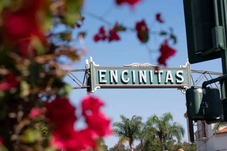 Encinitas, California street sign framed by flowers and palm trees on a sunny day.