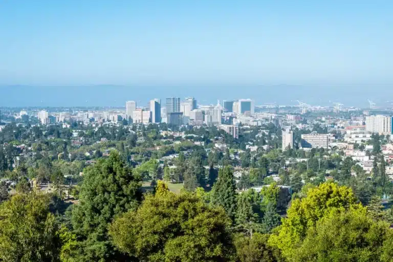 Oakland digital marketing experts working on SEO and PPC campaigns