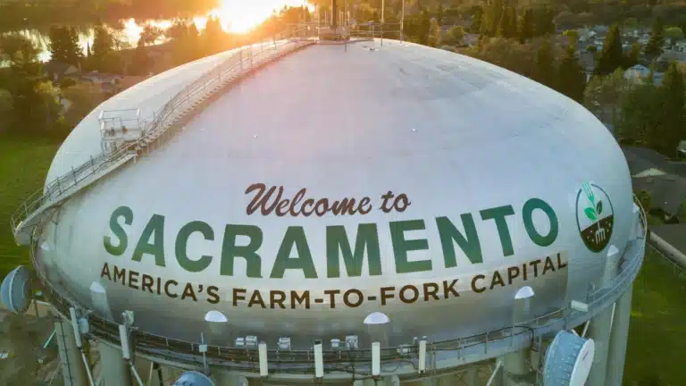 Welcome to Sacramento where Tower 25 grows local businesses online