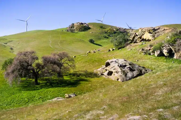 Local SEO services in Concord CA driving website traffic and customer calls