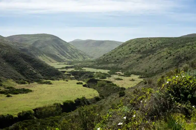 Scenic hills and valleys in Santa Rosa with rolling greenery and open landscapes under a clear sky