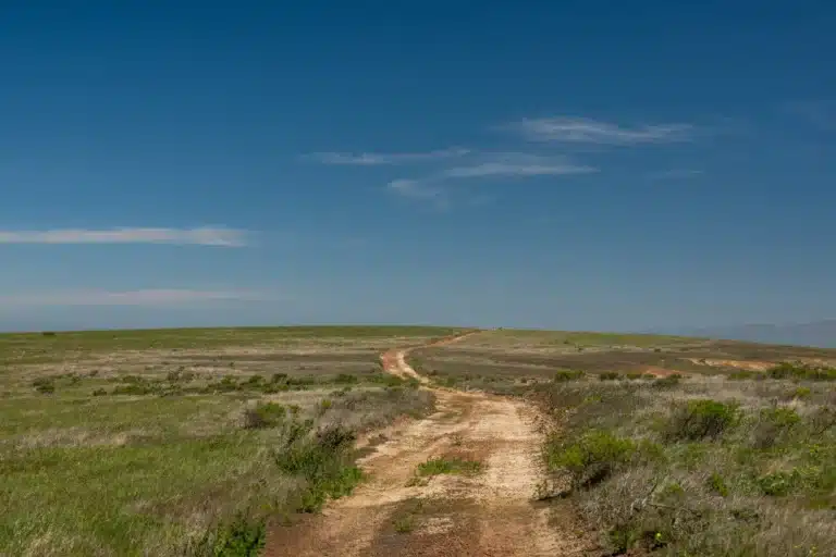Scenic hills and valleys in Santa Rosa with rolling greenery and open landscapes under a clear sky