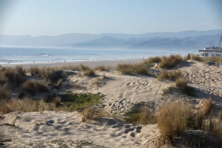 Coastal view of Oxnard, CA featuring sandy beaches, palm trees, ocean waves, and a relaxed Southern California atmosphere.