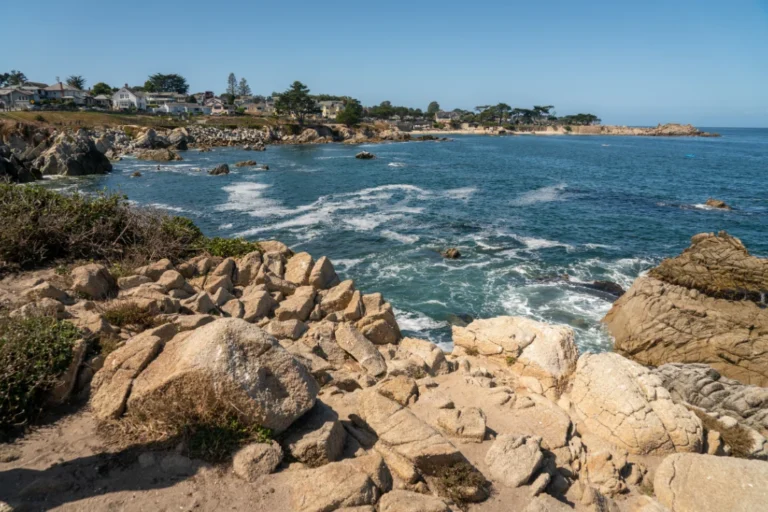 Rocky coastline of Monterey Bay with waves crashing against the cliffs and scattered seaweed along the shore.