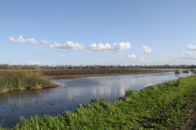 Antioch- lake-view