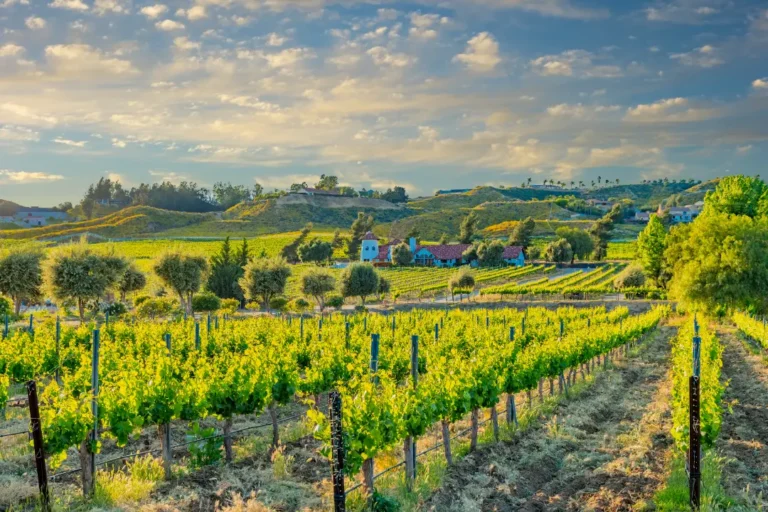 temecula-valley-green-landscape