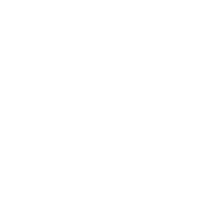 T25 Icon